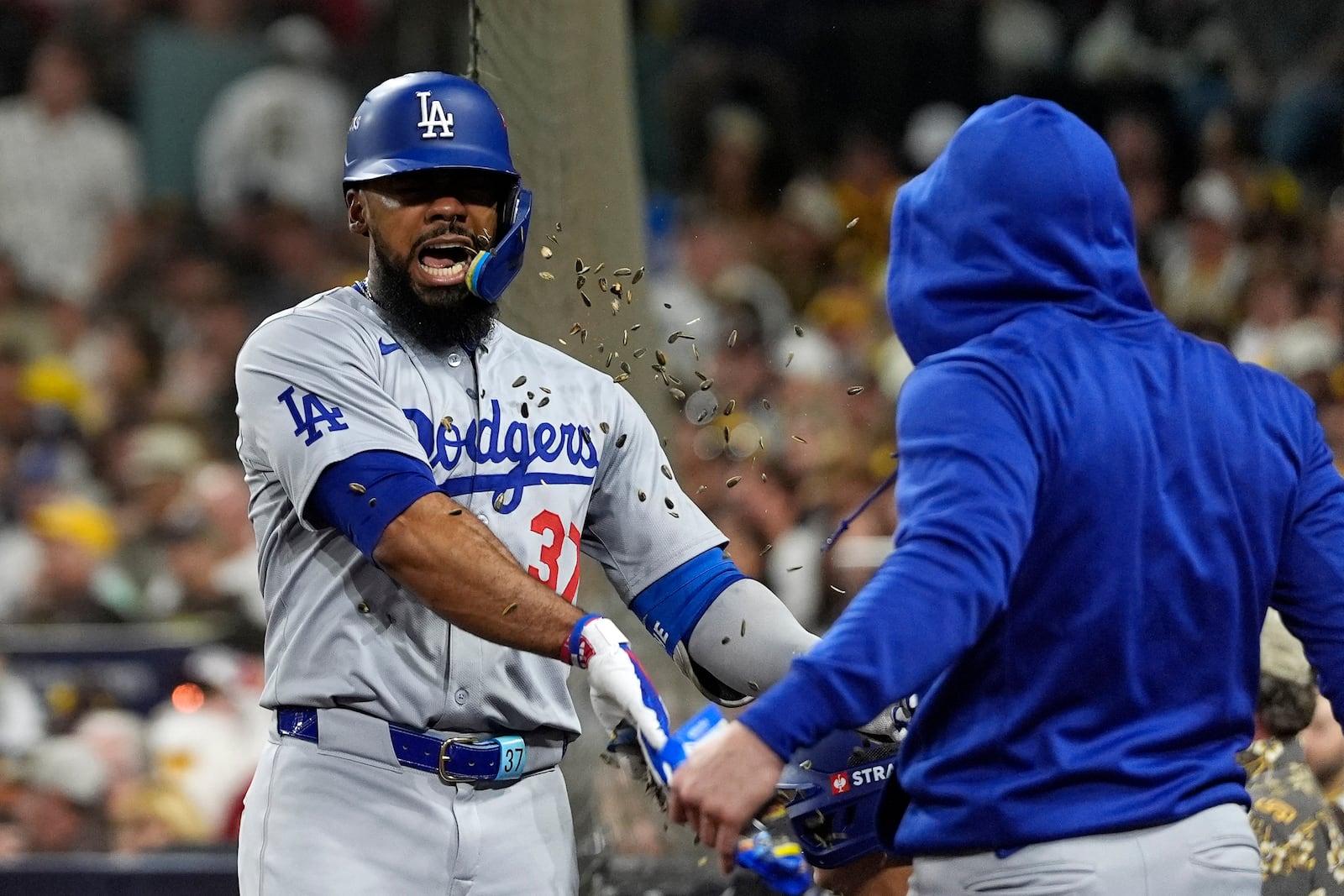 Los Angeles Dodgers' Teoscar Hernández gets sunflowers seeds to the face after hitting a grand slam during the third inning in Game 3 of a baseball NL Division Series against the San Diego Padres, Tuesday, Oct. 8, 2024, in San Diego. (AP Photo/Gregory Bull)