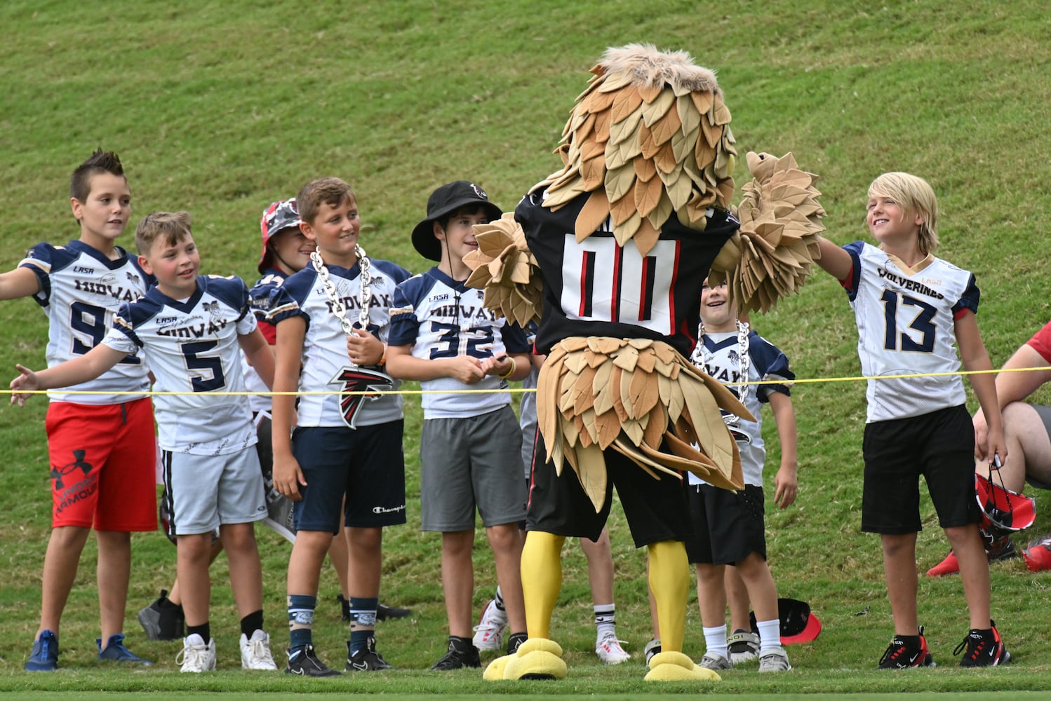 Falcons training camp photo