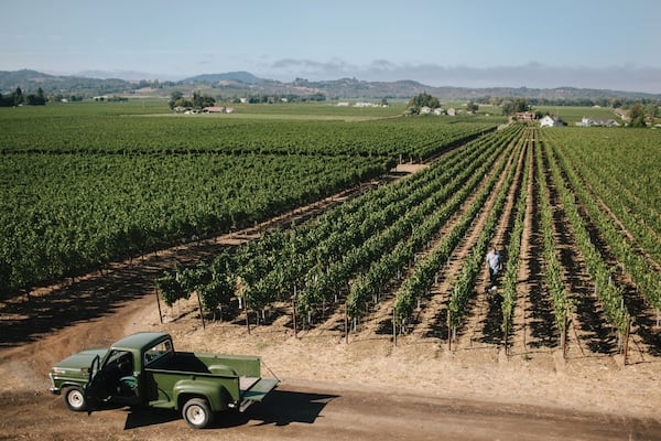 Northern California grape grower Tom Gore and his employees — 30 full-timers and 100 seasonal workers — tend approximately 1,500 acres scattered around Sonoma and Mendocino counties. (Photo credit: Tom Gore Vineyards)