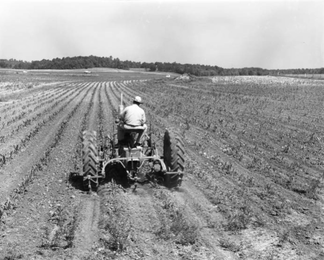 Flashback Photos: Life at the Atlanta Prison Farm