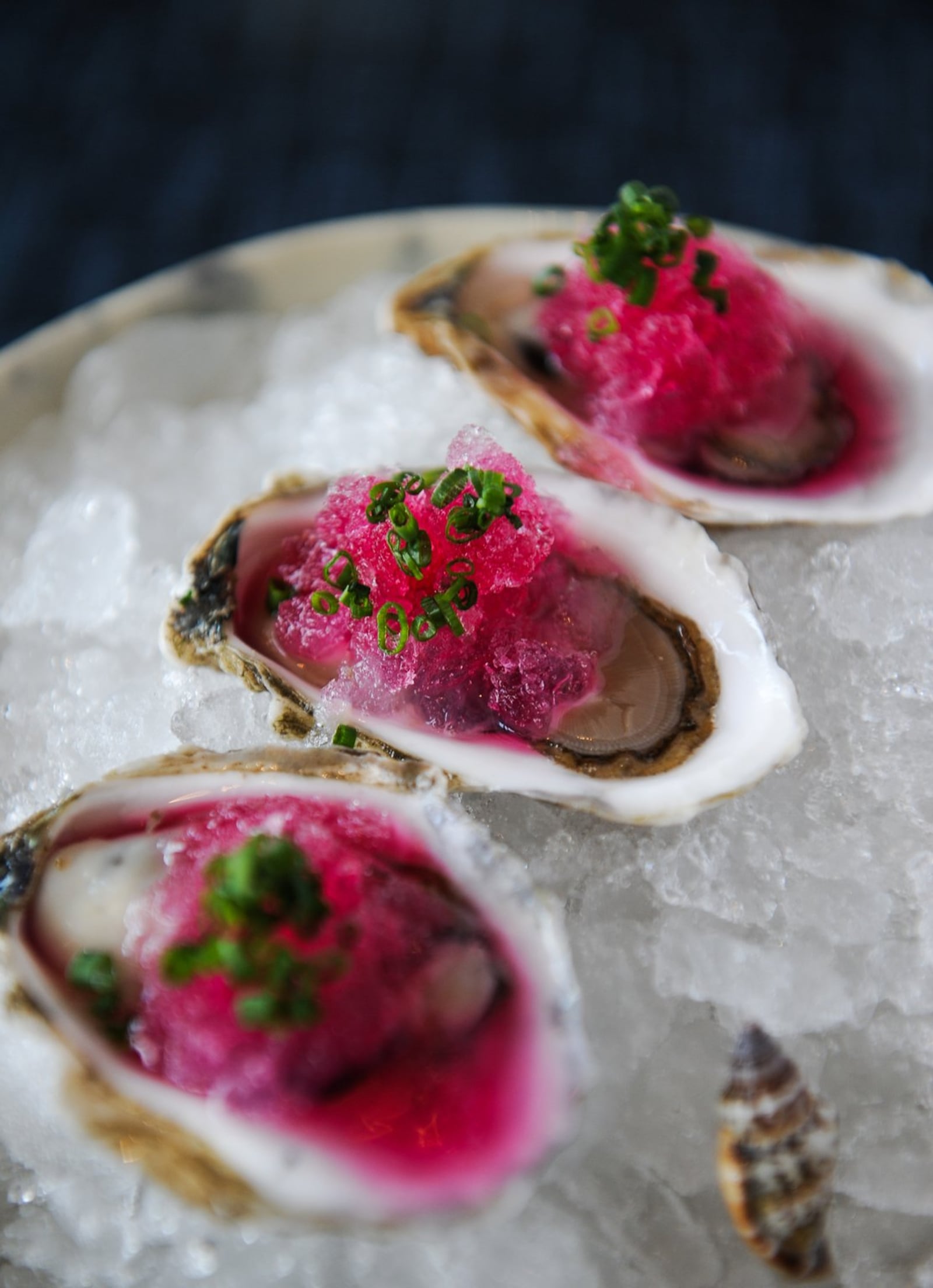 .Kumomoto Oysters - served on the half shell with pickled red onion shaved ice. (BECKYSTEIN.COM)