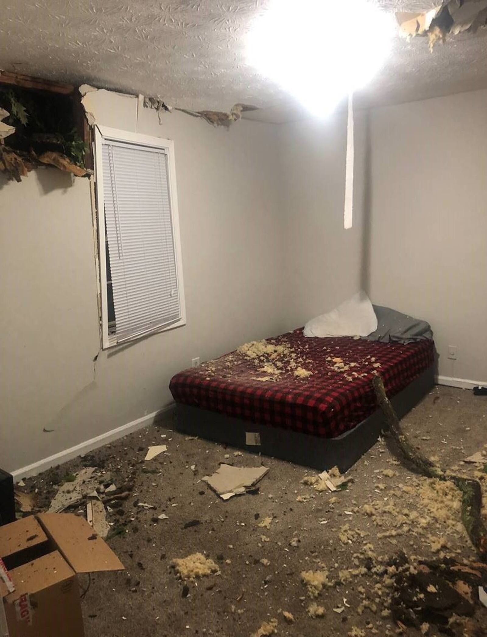 Emma Ceplina and her husband Jared Shugart woke up at 2 a.m. Monday, April 13, 2020 to the sound of a storm that put a tree through their roof and into the guest bedroom of their Decatur townhouse. (Photo courtesy of Emma Ceplina and Jared Shugart)