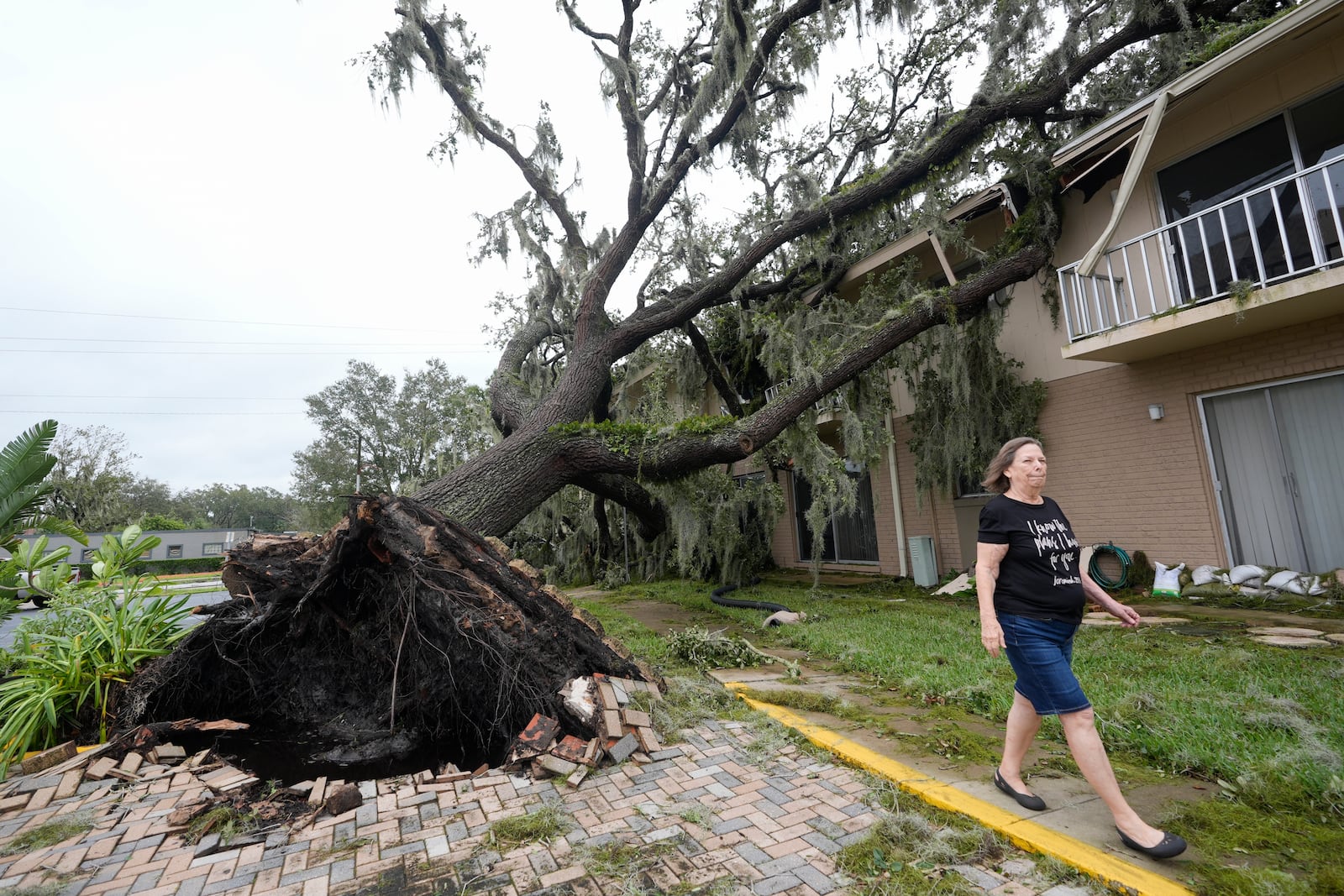 Joella Krzyzanski walks past a large oak tree that fell at her apartment complex after Hurricane Milton passed Thursday, Oct. 10, 2024, in Sanford, Fla. (AP Photo/John Raoux)