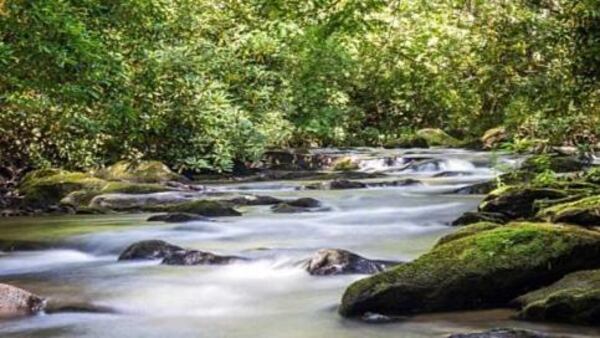 Jacks River Falls is one of Georgia's most remote waterfalls.