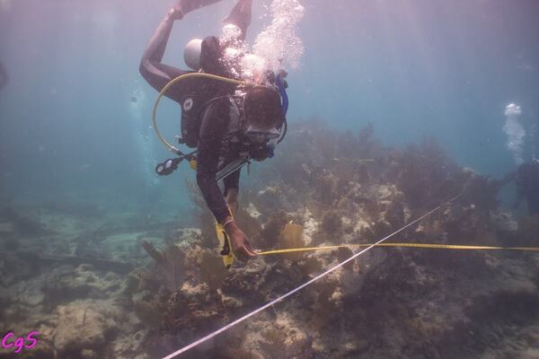 Tara Roberts takes measurements of a shipwreck.