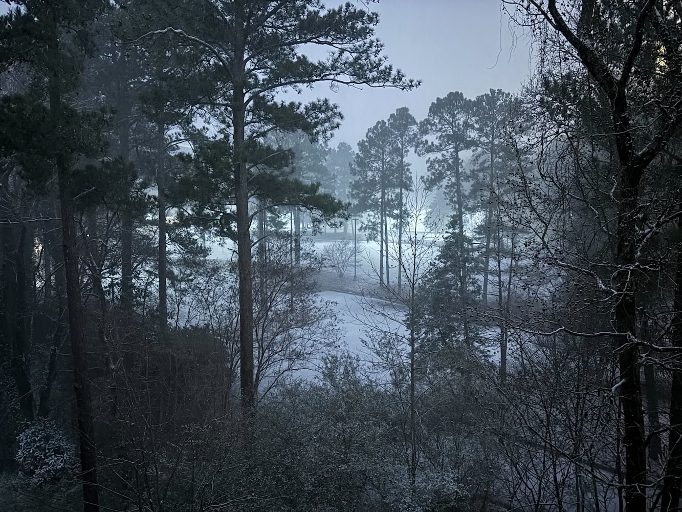 georgia snow