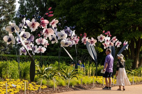 Giant-sized glass flowers created by Seattle artist Jason Gamrath are part of the SUPERnatural art installation at the Atlanta Botanical Garden. Photos: Jason Getz/Atlanta Botanical Garden