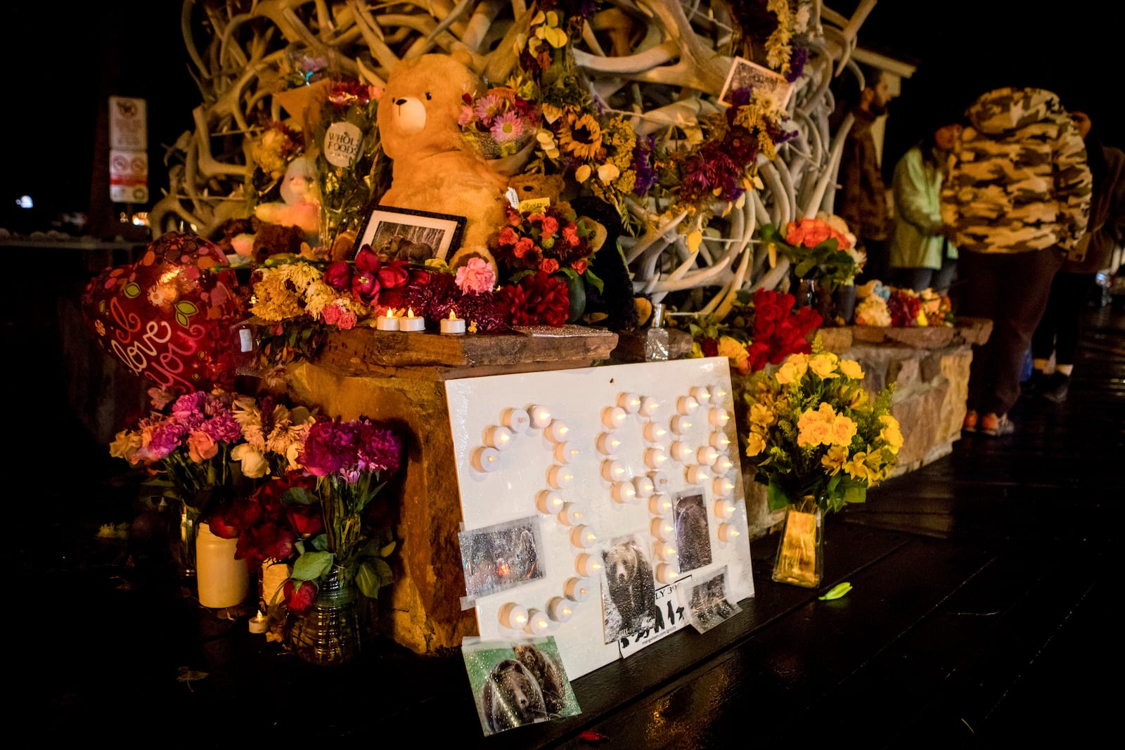 A shrine sits on the corner of town square to mourn the loss of grizzly bear No. 399 at a candlelight vigil in Jackson, Wyo., Saturday, Nov. 2, 2024. (AP Photo/Amber Baesler)