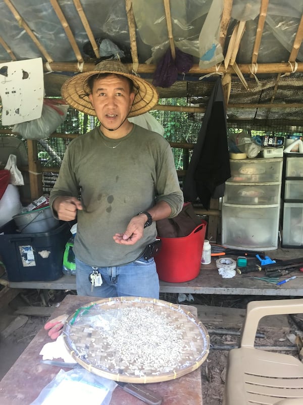 James Khup tends Bamboo Creek Farm in Stone Mountain. The property is operated by farmers who came to Atlanta as legal refugees from Myanmar, formerly known as Burma. LIGAYA FIGUERAS / LFIGUERAS@AJC.COM