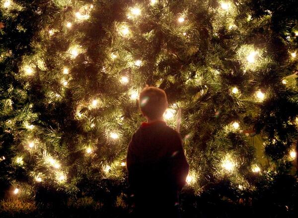 Miles August, 5, of Royal Palm Beach got a close-up look at the Christmas tree after its lighting during Wellington Winterfest 2011 at the Wellington Amphitheater.  Bruce R. Bennett/The Palm Beach Post