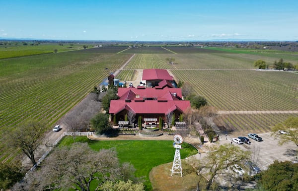 Aerial view of Oak Farm Vineyards in Lodi, Calif. on March 18, 2025. (AP Photo/Terry Chea)