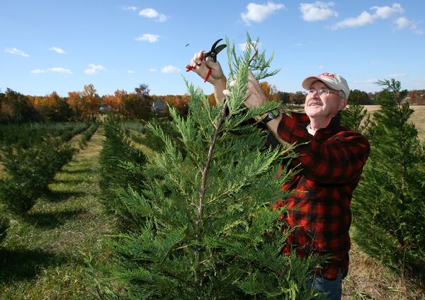 Thompson’s Tree Farm features family activities as well as opportunities to choose your own fresh Christmas tree. AJC FILE PHOTO