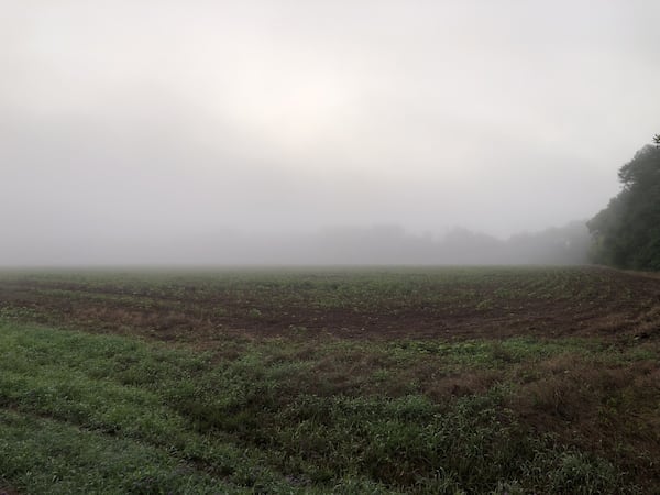 A foggy image of a field in Jimmy Carter's hometown of Plains, Ga.