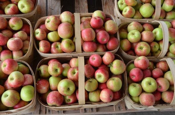 Visitors to Skytop Orchard can pick their own apples through Oct. 31. Contributed by Robert Nicholls