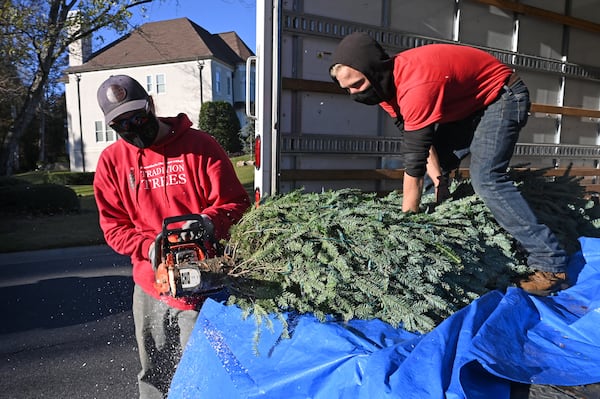 November 18, 2020 Alpharetta - Wyatt Carpenter (left) and Evan Drenner, both with Tradition Trees, trim a Christmas tree before they deliver to customer's home in The Country Club of the South in Alpharetta on Wednesday, November 18, 2020. (Hyosub Shin / Hyosub.Shin@ajc.com)