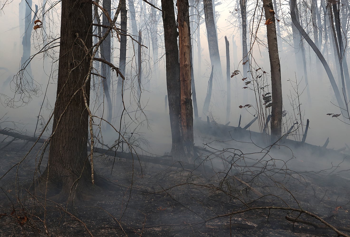 Rock Mountain fire