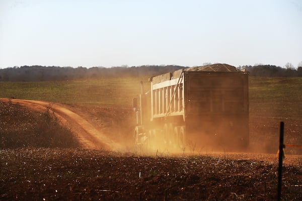 A truck arrives carrying materials to dump on fields as soil amendments next to Ruth Wilson's small horse farm in Oglethorpe County in February. Wilson and neighbors are suing the landowner for the overpowering smells and problems they claim the operation is creating.  Their suit and Environmental Protection Division documents say the amendments include dead chicken body parts, food processing waste and processed sewage sludge. The materials attracted a flock of vultures the day the photo was taken. (Curtis Compton / Curtis.Compton@ajc.com)