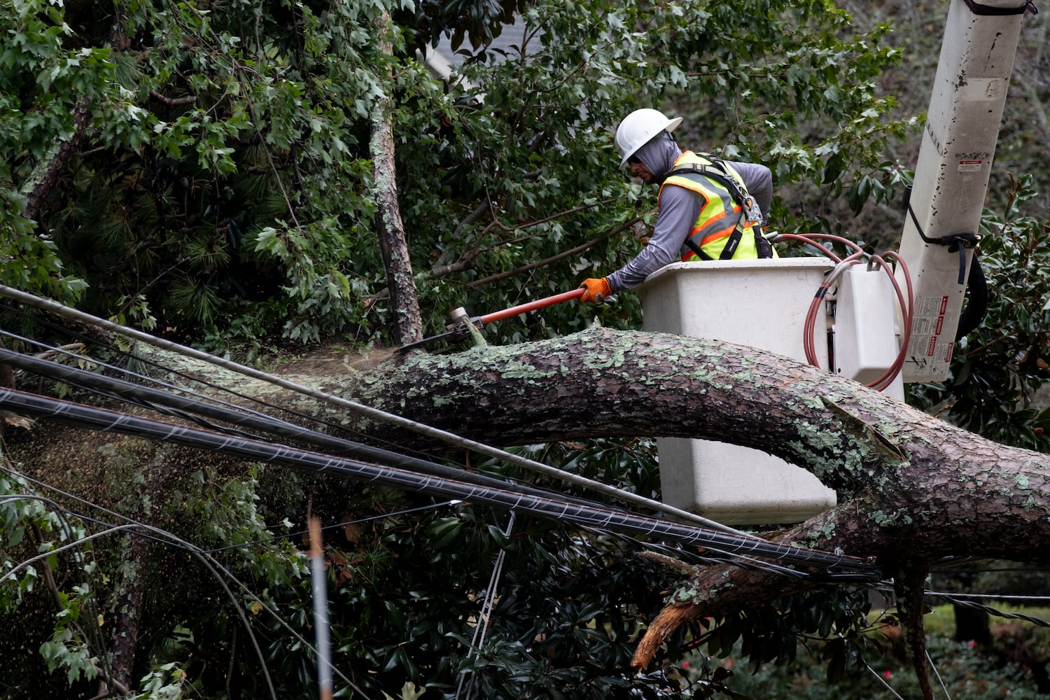 A Worker cuts branches from a fallen tree that knocked out power to a neighborhood in Decatur on Friday, Sept. 27, 2024 following a night of heavy rain from Hurricane Helene. Ben Gray for the Atlanta Journal-Constitution