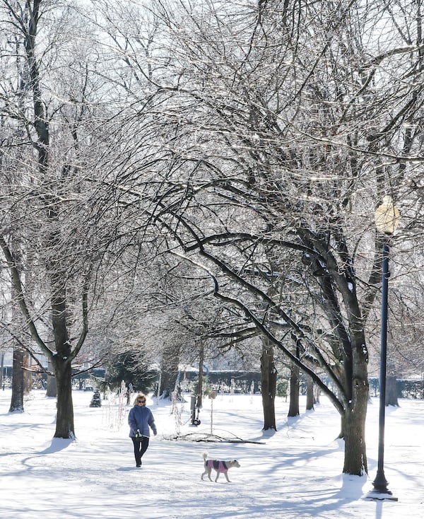 Stacy Whitehead walks with her dog, Dolly, as the sun highlights the ice-covered limbs above the walking trail at Legion Park in Owensboro, Ky., Thursday, Jan. 9, 2025. (Alan Warren/The Messenger-Inquirer via AP)