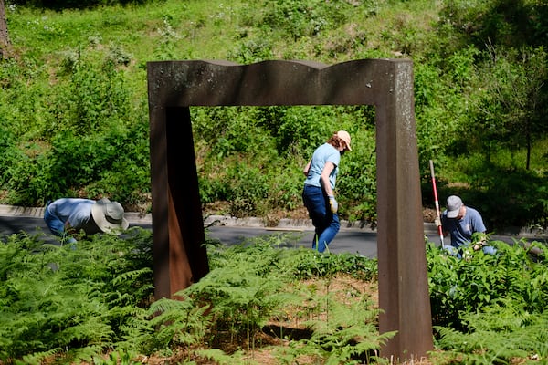 Volunteers root out invasive plants and clean debris at the Chastain Arts Center in Buckhead for Earth Day on Friday, April 22, 2022. (Arvin Temkar / arvin.temkar@ajc.com)