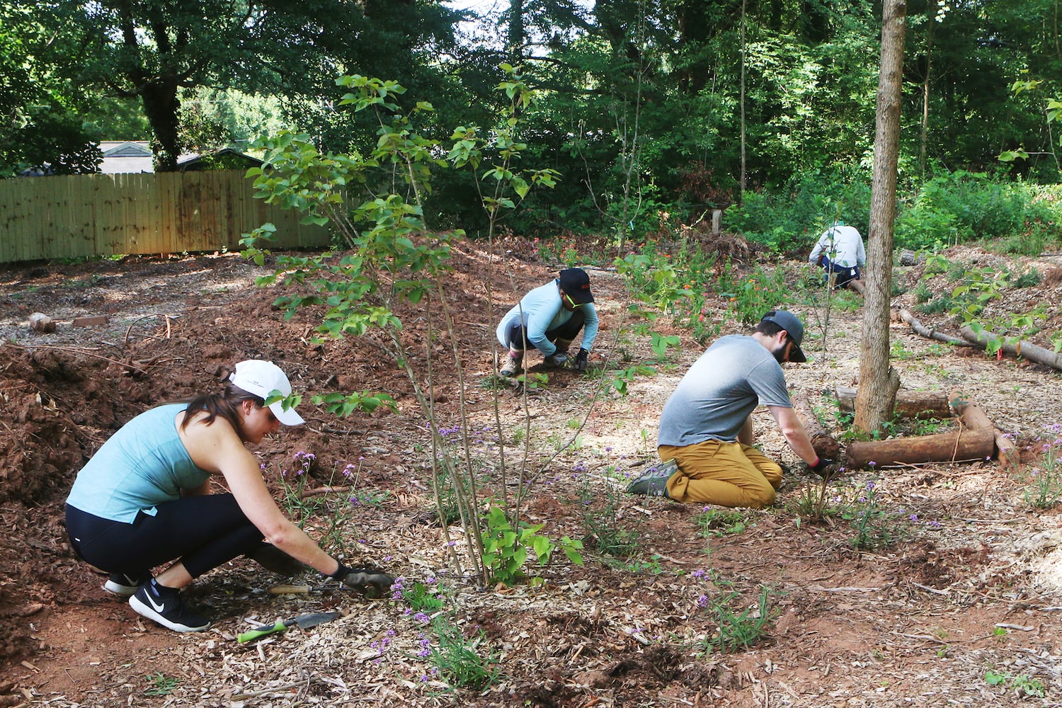 Photos: A look inside Georgia's first food forest