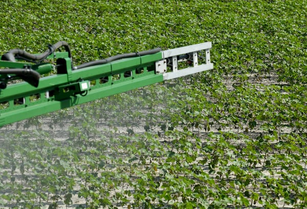 Taylor Buckner, operates a John Deere Sprayer to spray weed control on one of cotton fields at Davis Family Farms, Wednesday, June 28, 2023, in Doerun, GA. Cotton plants on this field were mature, so didn’t get much damaged by recent hailstorms and high winds. Bart Davis has around 7,500 acres of land across Southwest Georgia in Colquitt, Mitchell, Worth, and Dougherty counties — and every acre of cotton was hit by the storms. Hail the size of golf and tennis balls, some even larger, slammed his crops, Davis said. Damage ranged from moderate to severe, he said. (Hyosub Shin / Hyosub.Shin@ajc.com)