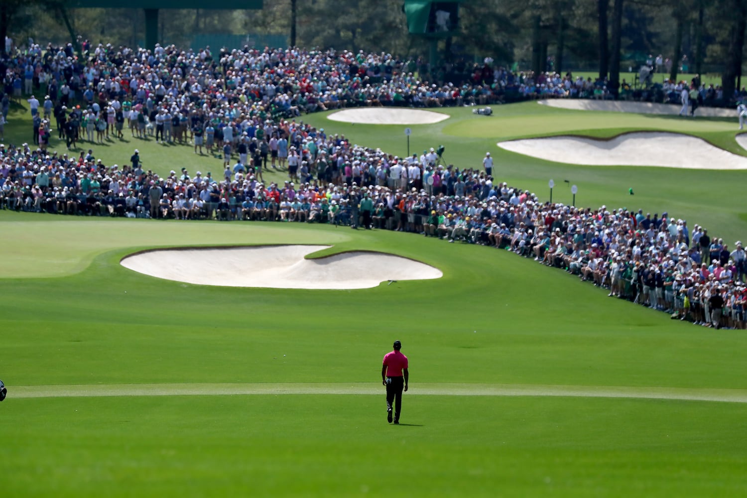 Tiger Woods at the Masters