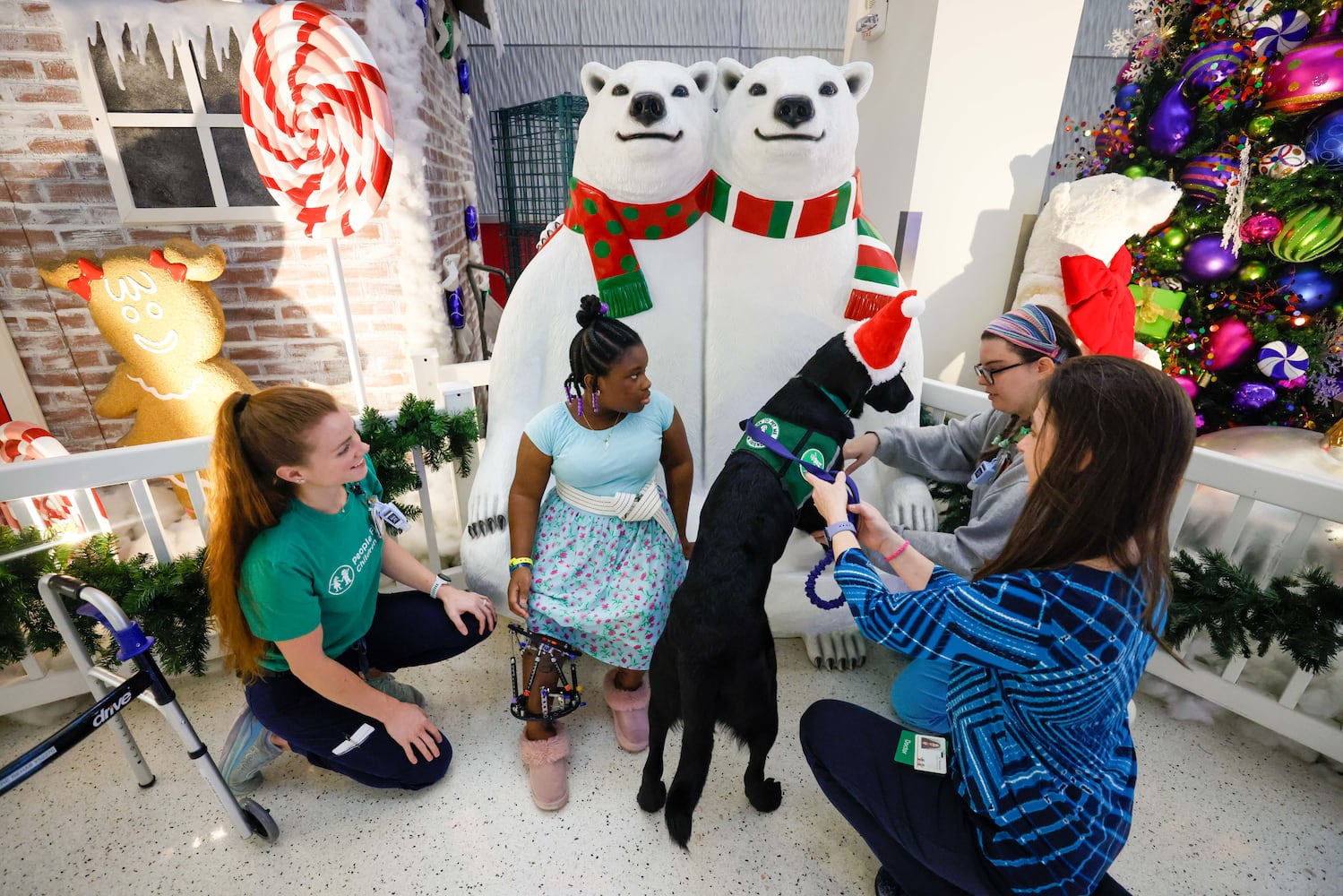 Children's new therapy dog