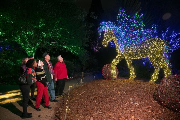 November 19, 2018 - Atlanta, Ga: Atlanta Botanical Garden Garden Lights event at the Atlanta Botanical Garden Monday, November 19, 2018, in Atlanta.  (JASON GETZ/Getz Images)