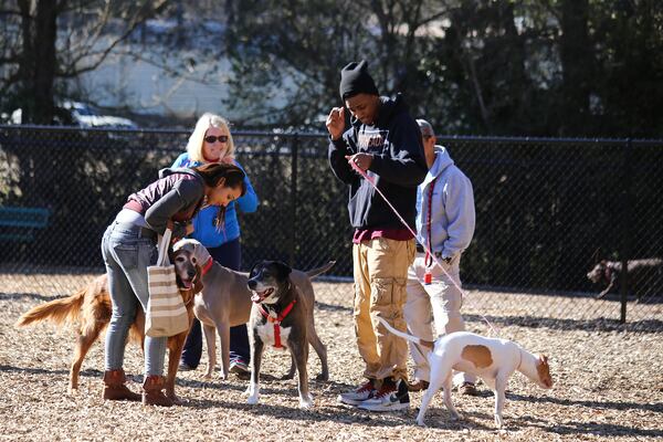 It’s a fun dog day afternoon at Woofstock Park.
(Courtesy of the Woodstock Parks and Recreation Department.)