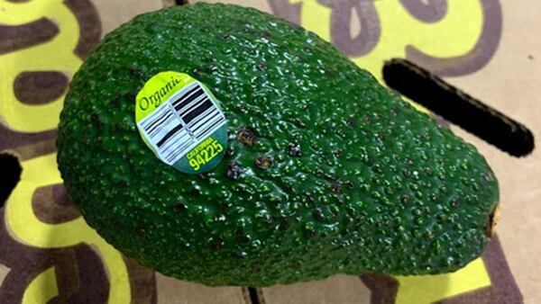 California-grown whole avocados sold in bulk at retail stores are being recalled due to potential listeria contamination.