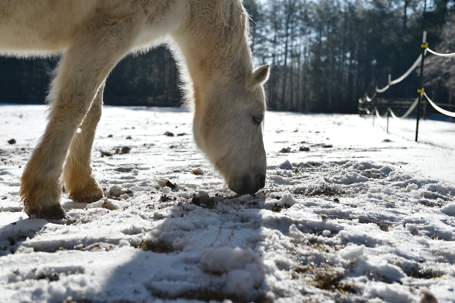 Snow and ice hit Atlanta