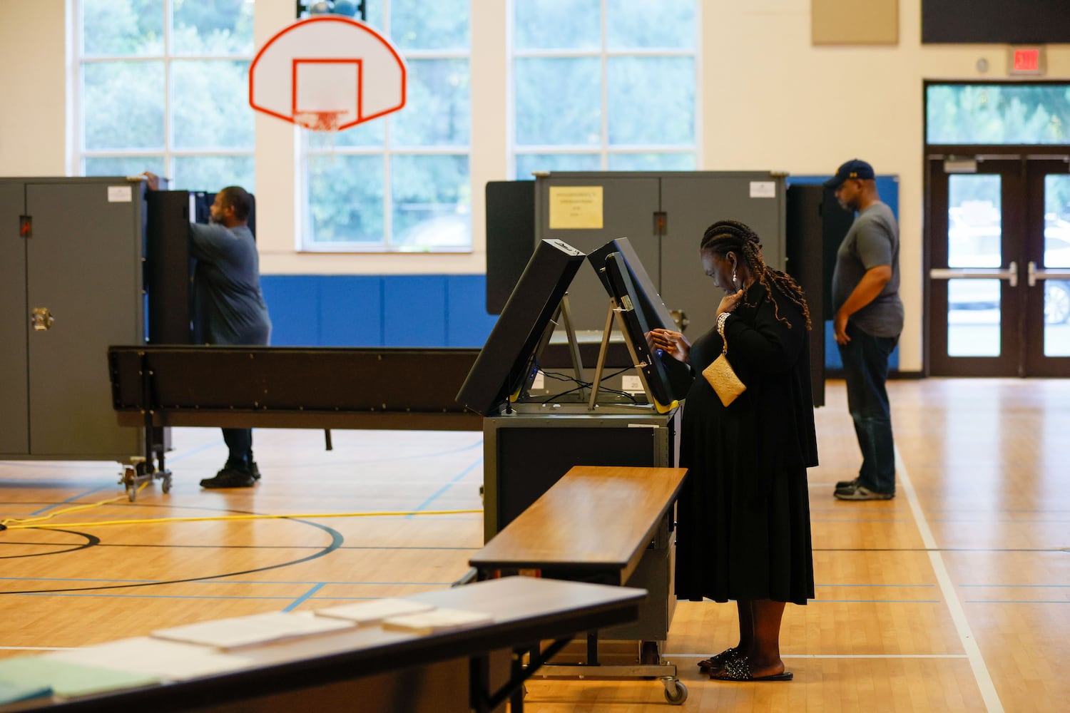 Georgia primary elections