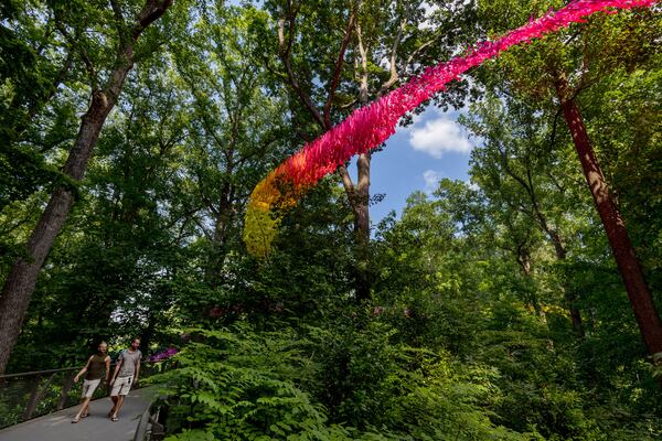 The Dream Flora installation ranges in width from five to 25 feet and is up to 40 feet off the ground in places. Photos: Jason Getz/Atlanta Botanical Garden