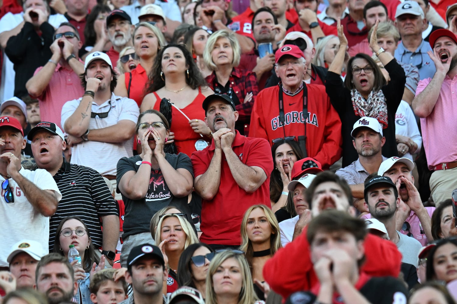 Georgia vs Mississippi State photo