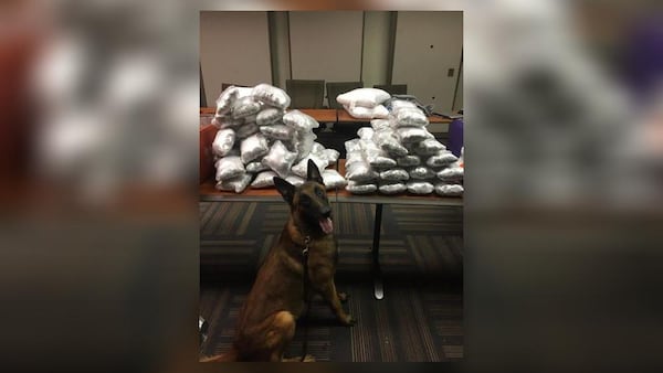 Brookhaven K9 Dano helped intercept roughly 100 pounds of narcotics during a bust.