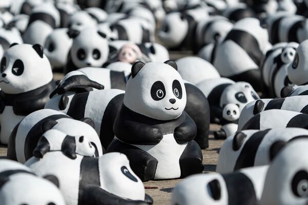 Part of the 2500 panda sculptures are displayed at the Hong Kong International Airport during the welcome ceremony of the panda-themed exhibition "Panda Go!" in Hong Kong, Monday, Dec. 2, 2024. (AP Photo/Chan Long Hei)