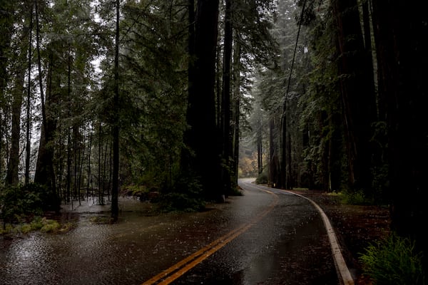 Flood water is seen across State Route 254 near Redcrest, Calif., Thursday, Nov. 21, 2024. (Stephen Lam/San Francisco Chronicle via AP)