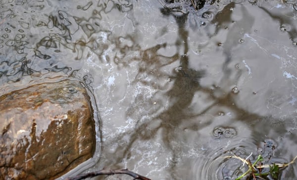 A sheen appears after activist Rick Tsai disrupted soil along the edge of Leslie Run to demonstrate contamination that still exists in the aftermath of the Norfolk Southern train derailment, Thursday, Feb. 1, 2024, in East Palestine. (Matt Freed for the Atlanta Journal Constitution)