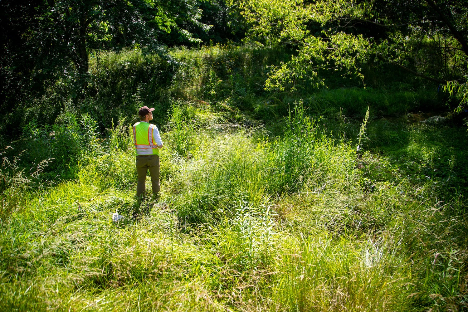 Restoring Flint River to former glory