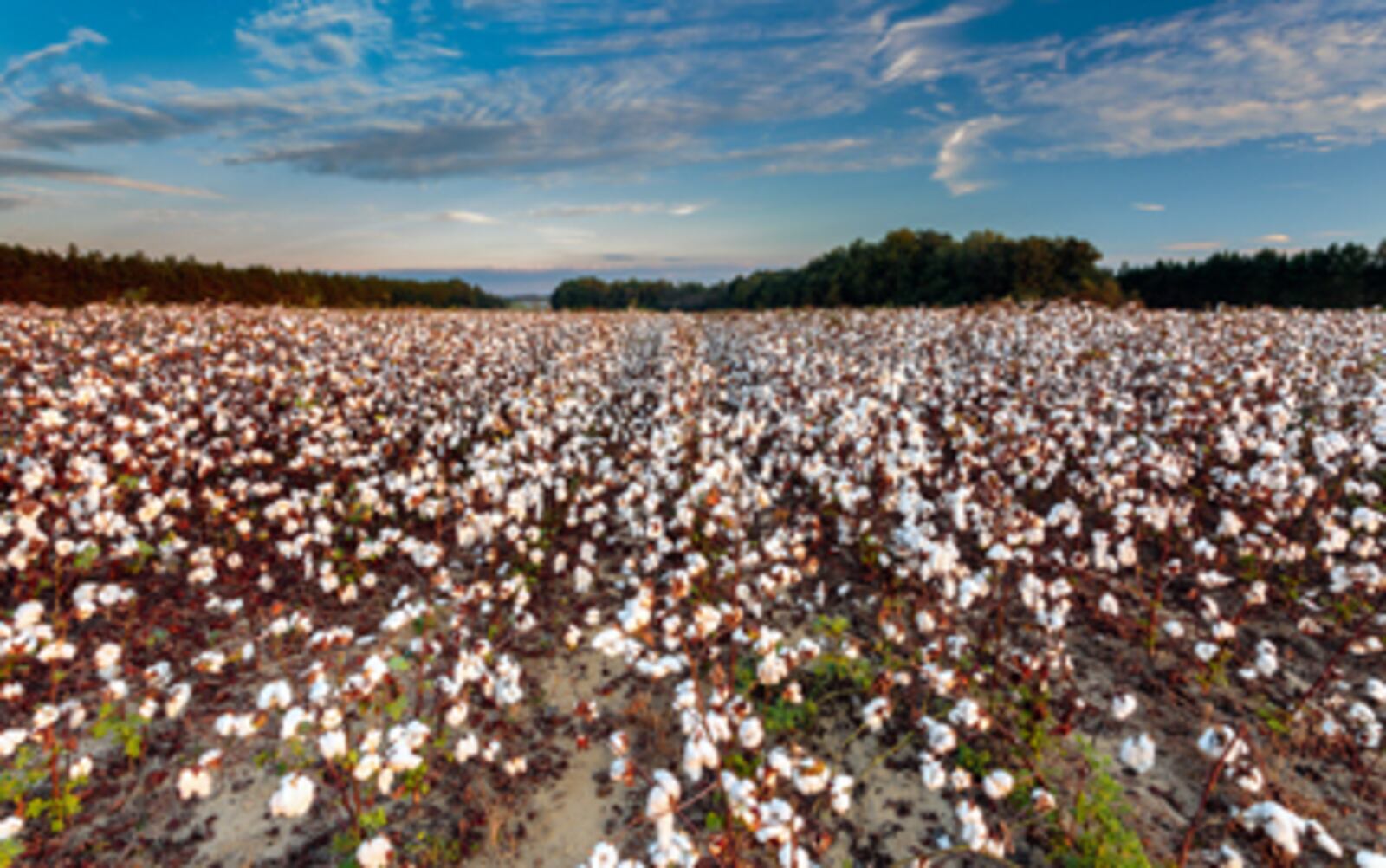 The Enduring Farmlands Scenic Byway