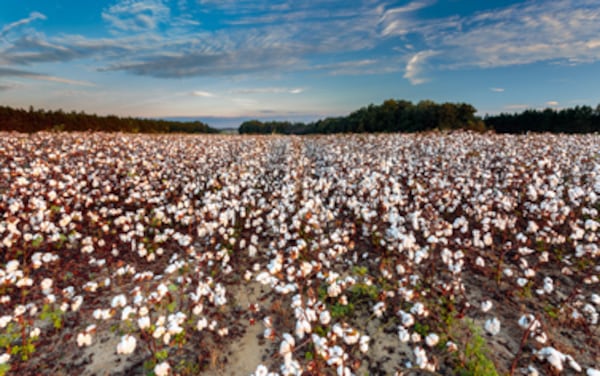 The Enduring Farmlands Scenic Byway