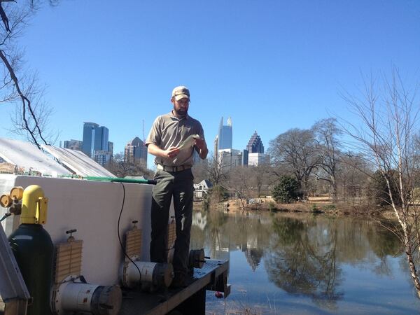 The Georgia Department of Natural Resources stocks the lake at Piedmont Park with fish. CONTRIBUTED BY GEORGIA DNR