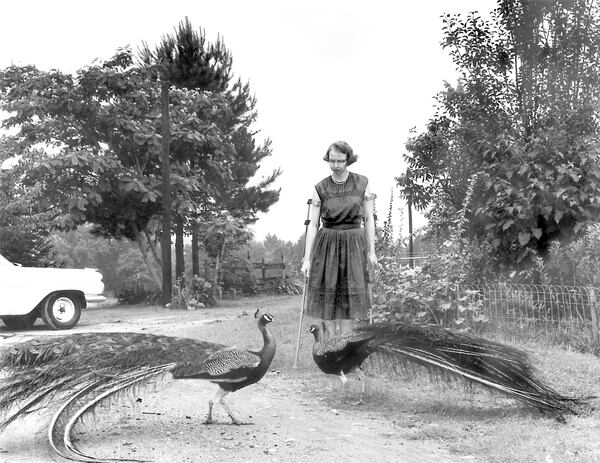 Flannery O'Connor spent the last 12 years of her life on the farm Andalusia, outside Milledgeville, where she wrote and raised peafowl. (Photo: Joe McTyre)