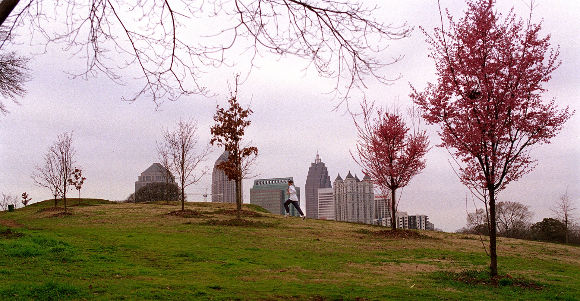 Piedmont Park