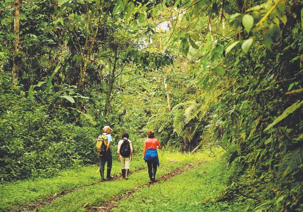 At Buenaventura, we spent our time either hiking through the lush forest or watching birdlife from the porch. (Doug Hansen)