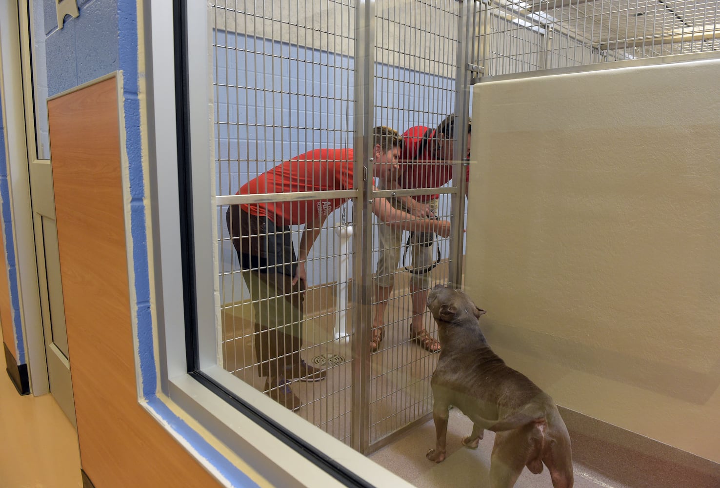 DeKalb opens new $12M animal shelter