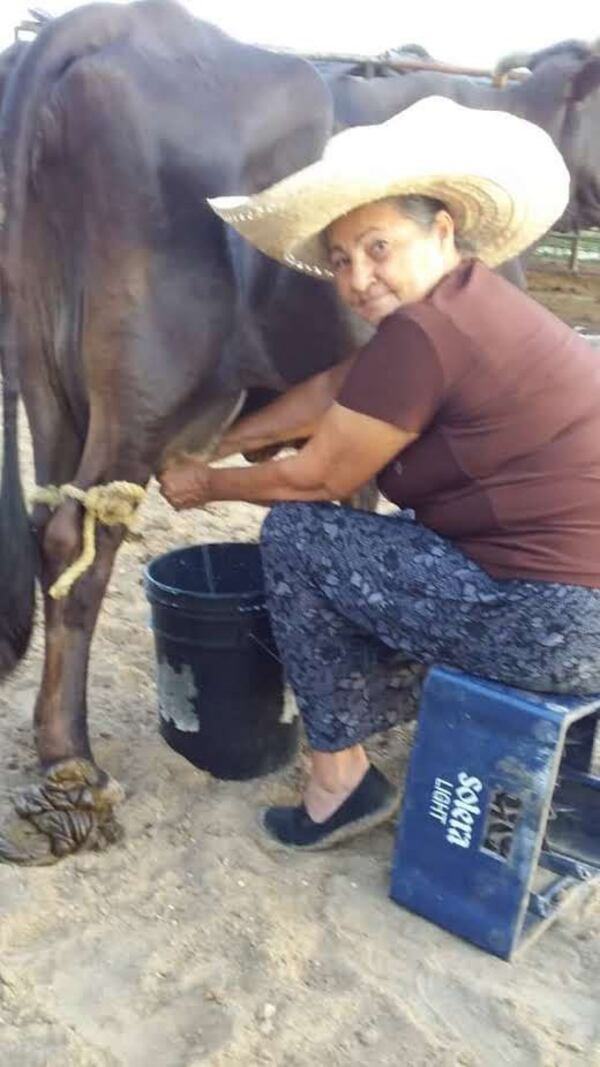 Estefania Carvajal in Venezuela, married, raised four daughters, and had a small farm where she kept 10 cows and made cheese that she sold to neighbors.  
Courtesy of Mrs. Rosa Foods