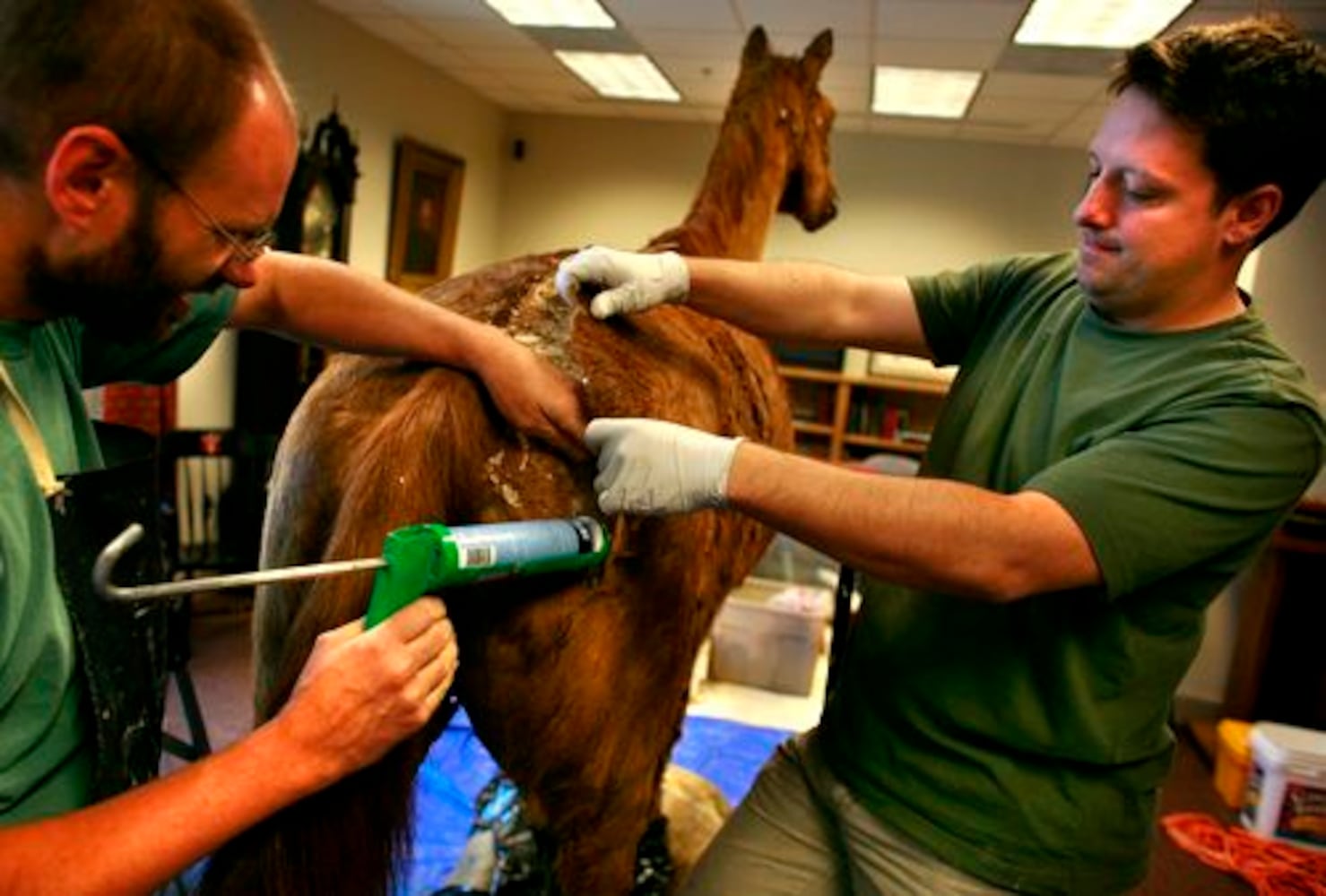 Restoring Stonewall Jackson's horse