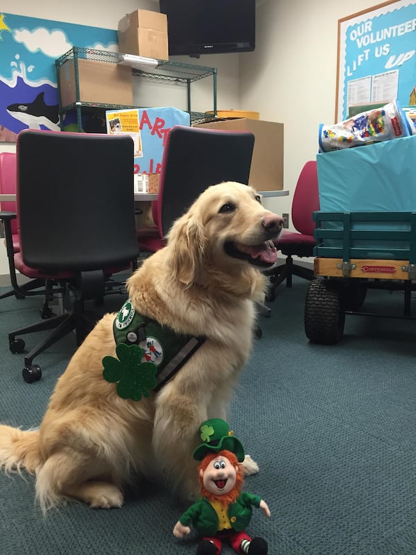 Casper fills roles the staff can't, such as showing kids that their breathing machine is not scary, or distracting children who are receiving an IV or are frightened by the IV machine.